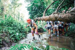 BIB: 
                            <button type="button" onclick="openModal(25472484)" class="btn btn-primary btn-sm float-right btn-popup" data-toggle="modal" data-target=".modal-high-quality">
                        <i class="fas fa-shopping-cart"></i> Add to Cart
                    </button>
                                            <button type="button" onclick="isThisMe(25472484, true)" class="btn btn-success btn-sm float-right btn-popup btn-isme hidden" data-toggle="tooltip" data-placement="bottom" title="นี่คือรูปของคุณใช่ไหม คลิกที่นี่เพื่อเอาเข้าอัลบั้ม">
                        <i class="fas fa-plus"></i> Add to album
                    </button>
                    <button type="button" onclick="isThisMe(25472484, false)" class="btn btn-warning btn-sm float-right btn-popup btn-isnotme hidden">
                        <i class="fas fa-ban"></i> Remove from album
                    </button>